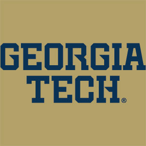 Georgia Institute of Technology LogoType Gold Xbox 360 (Includes HDD) Skin